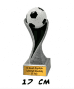 Trófea labdarúgás foci gravírozott táblával 17cm TRSE-4012