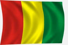 Guinea zászló