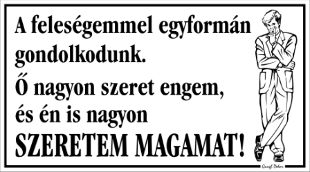A feleségemmel egyformán gondolkodunk Humoros tábla matrica