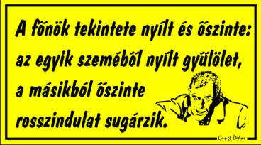 A főnök tekintete humoros vicces tábla matrica