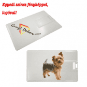 Bankkártya méretű és alakú 16 GB-os pendrive egyedi színes fényképpel logóval