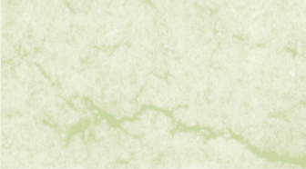 Névjegypapír A/4 dekor karton oklevél lime zöldes 233 2 A4 230 g/m2