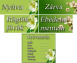 Kreatív nyitvatartásos táblák, zöld virágos háttérrel