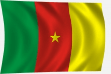 Kamerun zászló