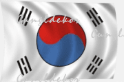 Dél-Korea zászló