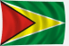 Guyana zászló